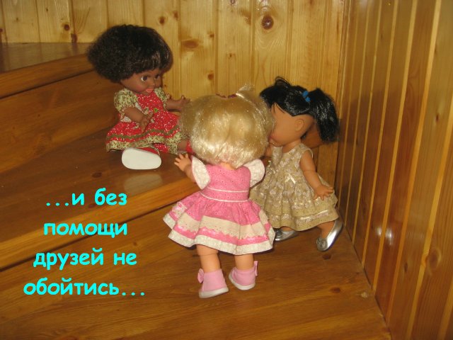 Как мои Фейсинки отдыхали (фото 10)