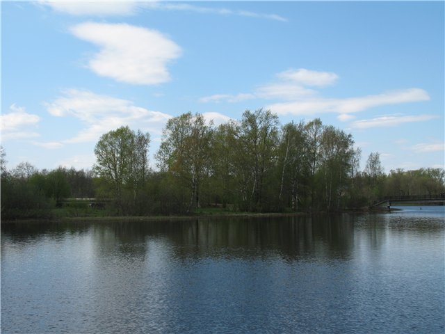 В гостях у сказки... У друзей в Тверской области (фото 5)