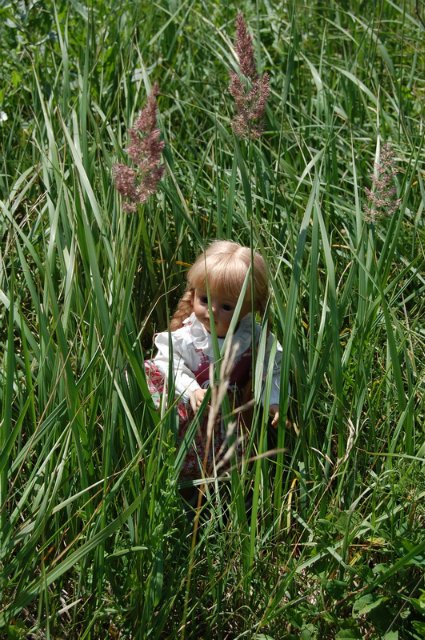 Путешествие по огромному миру! Ирис от E. Pfaffendorf и Тим от Susi Eimer