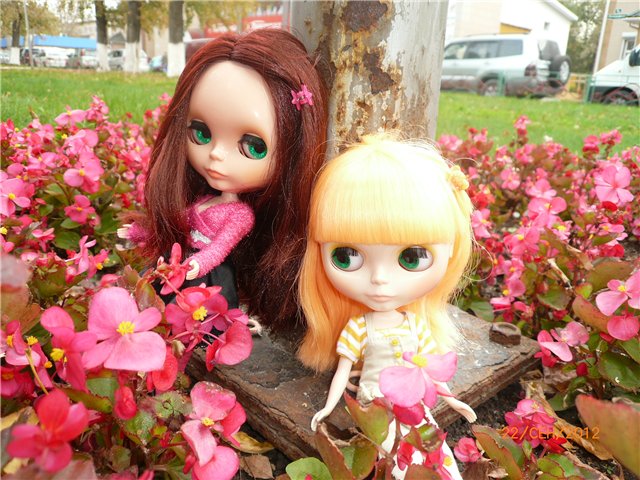 Мои Блайзочки — Оригинальные куклы Blythe (Блайз): Takara (фото 5)