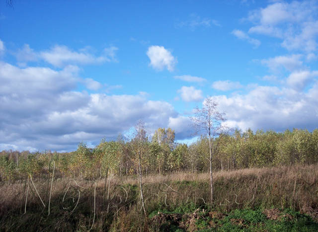 Осенняя поездка. Куклы Gotz и Berenguer (фото 7)