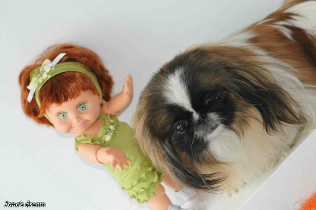 Прекрасные Феи Цветов. Galoob - Baby Face, часть 1