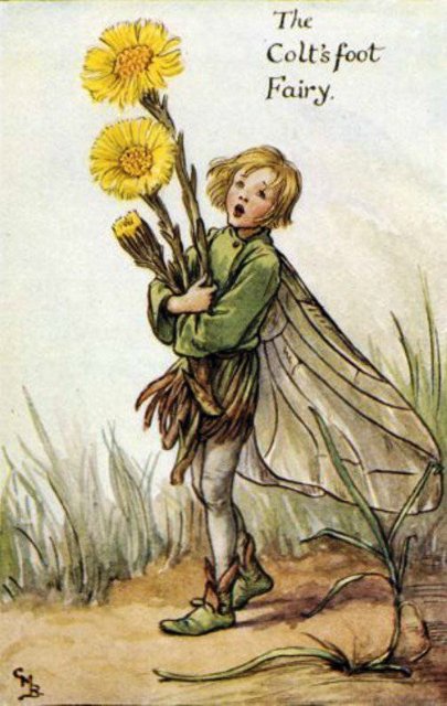 Долгая жизнь цветочных фей от иллюстраций Cicely Mary Barker до кукол Birgitte Frigast (фото 8)