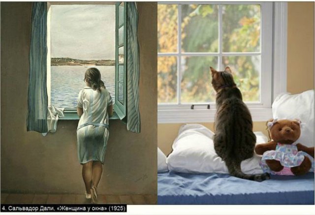 «Мяу» особого назначения или Весенняя кошкотерапия