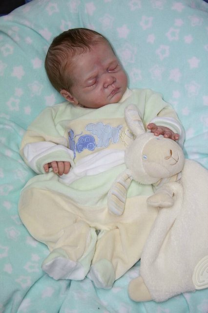 Кукла реборн CASPAR прототип художник Beatrix Schröder (фото 6)