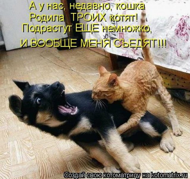 Понедельник - день тяжёлый | Бэйбики Понедельник - день тяжёлый