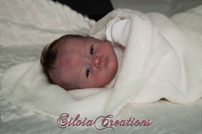 Новый молд Will от Натали Шолль