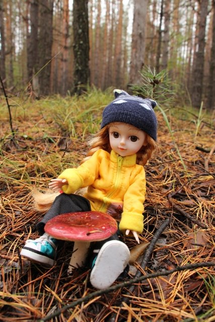 По грибы. Бузулукский бор (фото 10)