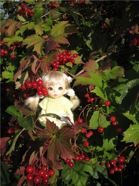 Маленькая дачница! Пукифи Анте Элис | Бэйбики Маленькая дачница! Пукифи Анте Элис