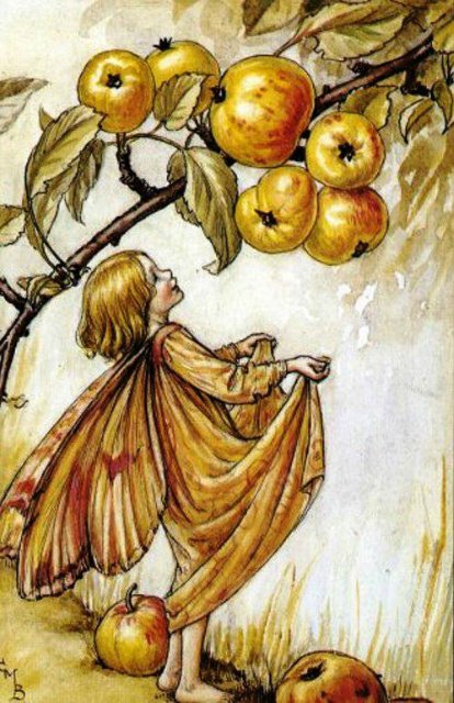 Долгая жизнь цветочных фей от иллюстраций Cicely Mary Barker до кукол Birgitte Frigast