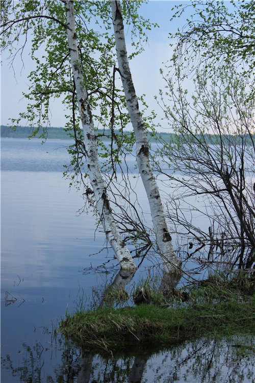 Спящая девочка Ромочка. Кукла реборн из Каморки папы Карло