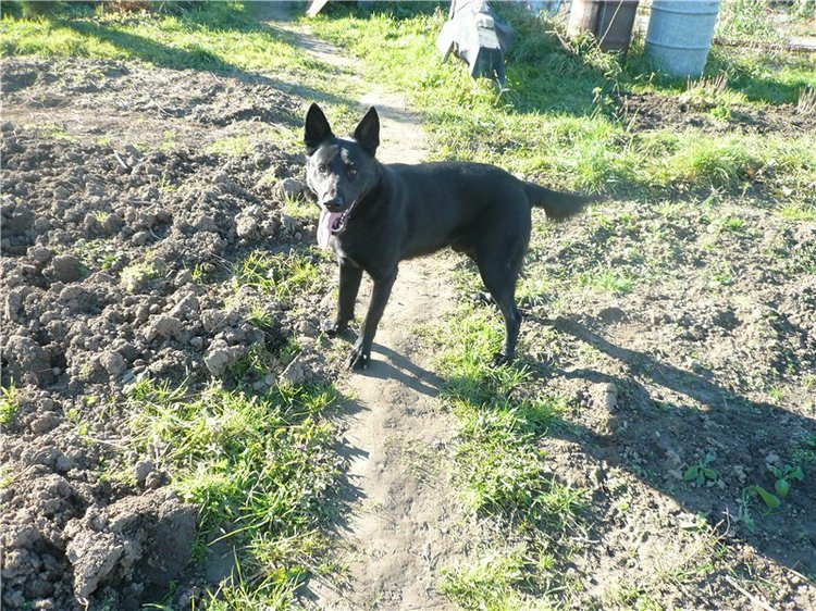 Пупсики родом из детства! Начало коллекции