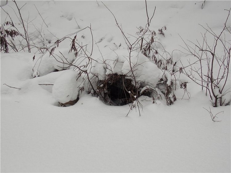 Тропинки Куш - Тау или Варваркины выходные