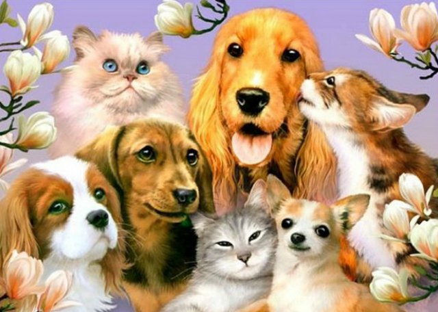 Хобби, помогающее иметь отличное настроение (фото 2)