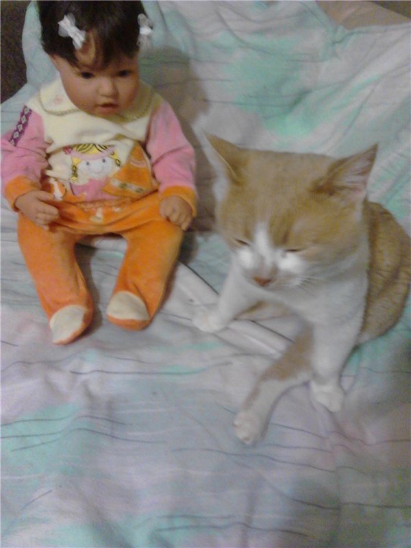 Наша любопытинка Катюшка lee Middleton и ее Кыся (первое знакомство) (фото 3)