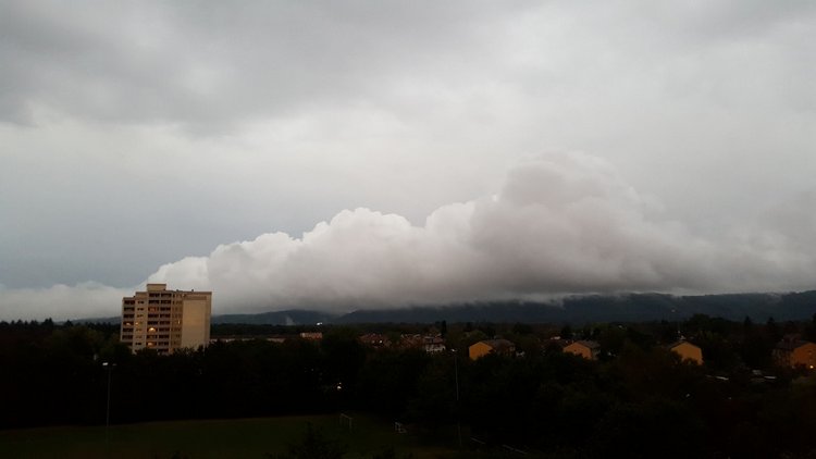 Вид из моего окна, KARLSRUHE