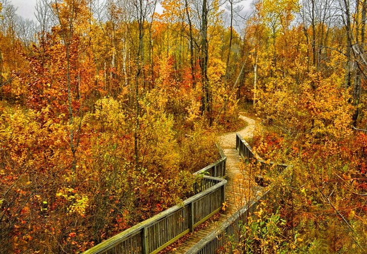 Красотка-осень — Болталка и разговоры обо всем: жизнь