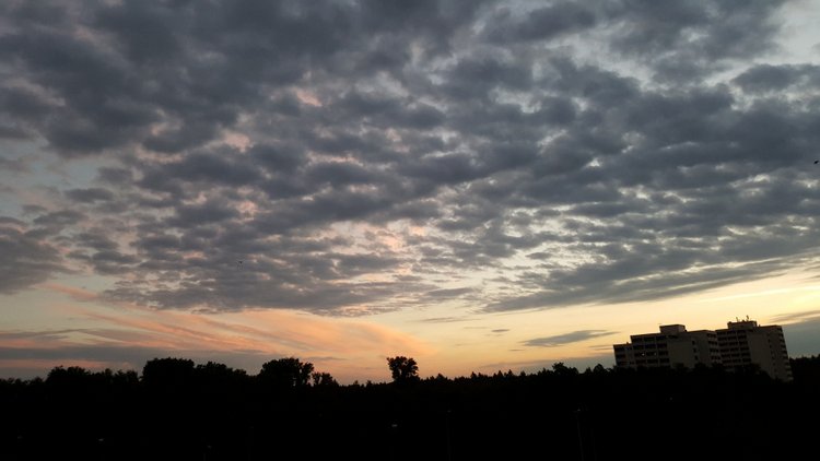 Вид из моего окна, KARLSRUHE