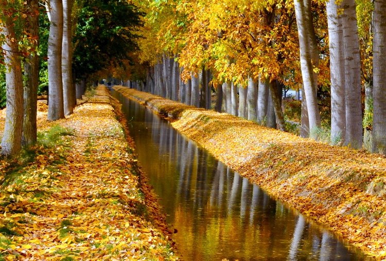 Красотка-осень — Болталка и разговоры обо всем: жизнь