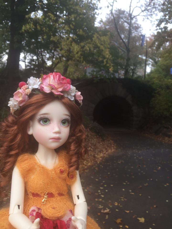 Луна гуляет в Центральном Парке в Манхаттане