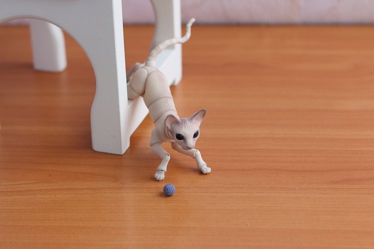 Кот играет с мячиком — Разные куклы BJD (БЖД): редкие бренды