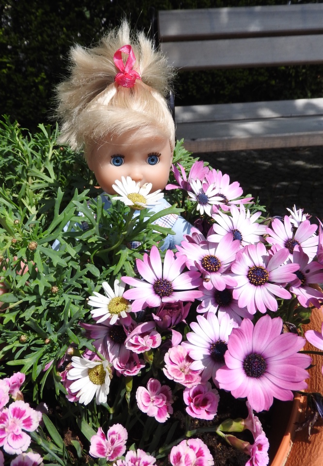 Словения, Светланка и маленький «герой» в одном ботинке