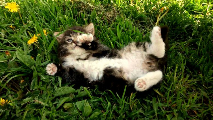 Кукла Нина. Мой подарок от подруги