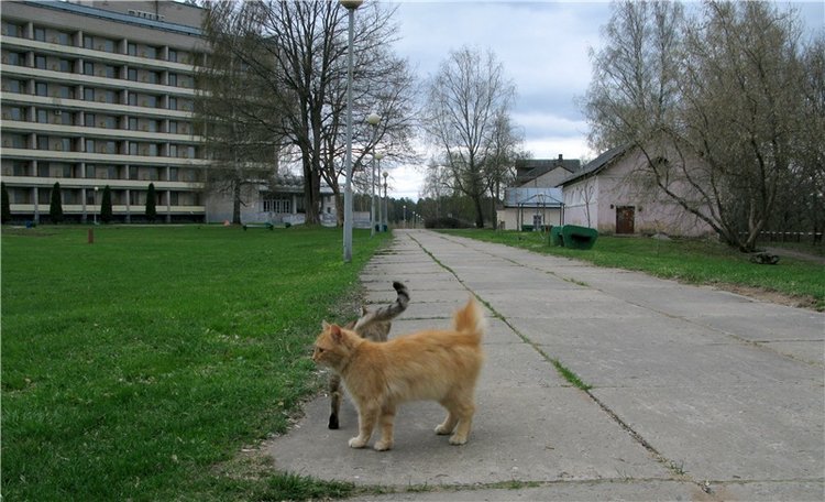 Майский день в Митино — Туризм и путешествия: фотоотчеты из поездок