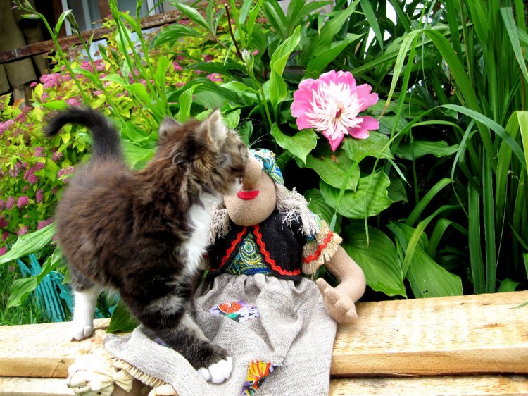 Бабушка из сказки — Коллекционные игрушки и фигурки: Lego