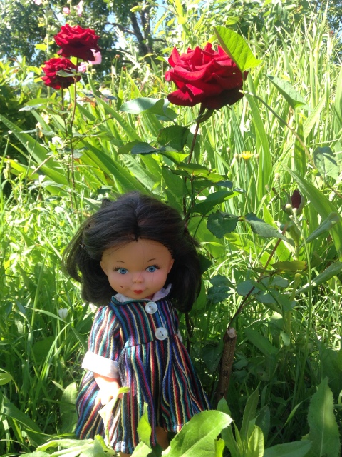 Такие простые летние радости с Eva Harta от Goebel