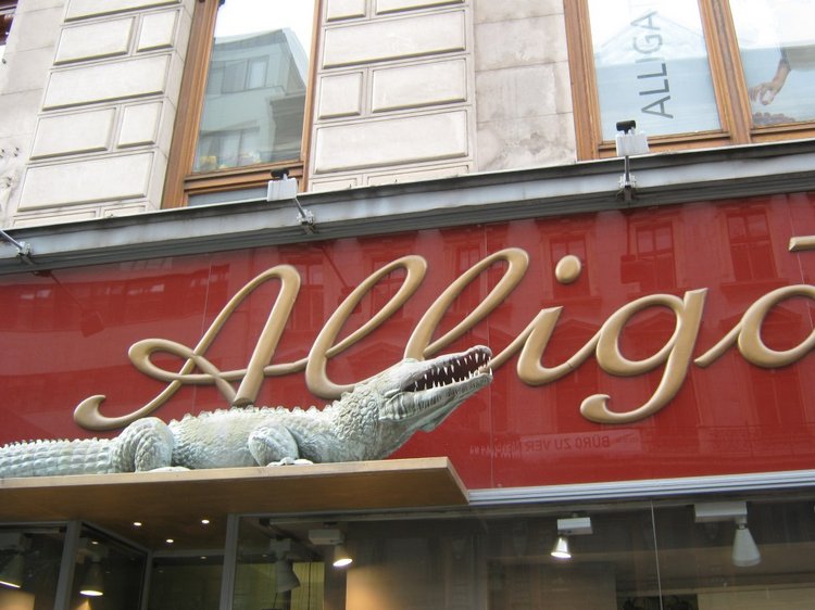 Медвежий флэш-моб – воспоминание о Вене (фото 6)