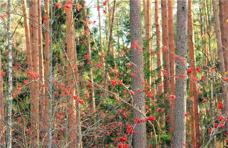 Зайка Зося. Авторская ручная работа Труничевой Ирины (фото 10)