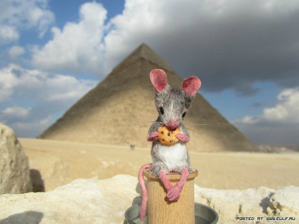 Мышиный дом или Жизнь замечательных мышей. Авторские игрушки в книжной иллюстрации. Мэгги Руди (Maggie Rudy) - "Mouses