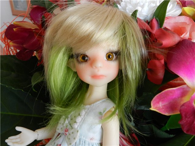 Nut Meg by Kaye Wiggs