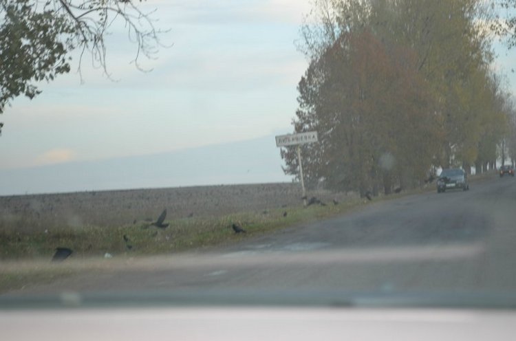 Моя поездка на выставку "VI Международный салон Модна лялька" Киев | Бэйбики Моя поездка на выставку "VI Международный салон Модна лялька" Киев