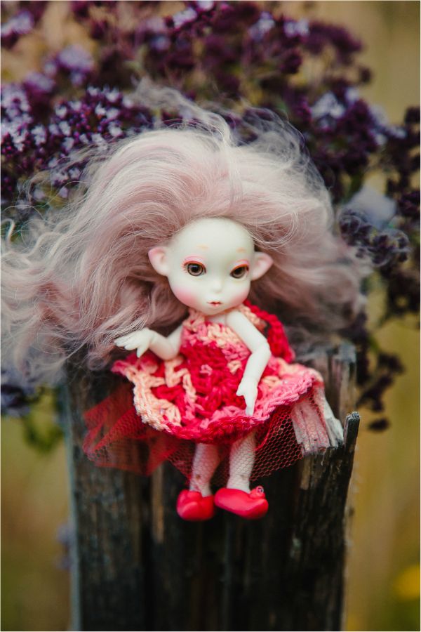 Немного лета на закате — Куклы Peaks Woods (Пиксвудс): BJD (БЖД) (фото 3)