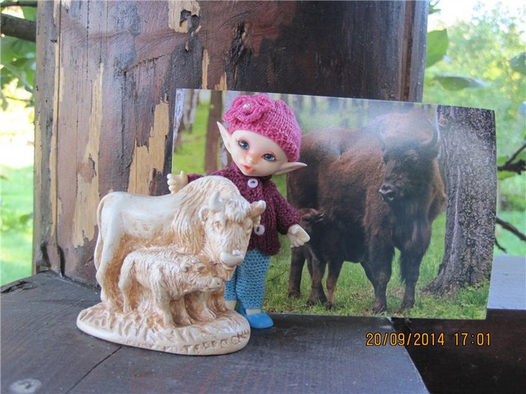 Давайте знакомиться! Мусенька - Realpuki Kaka Basic;)