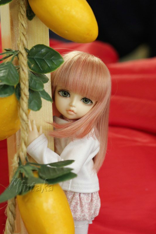 Отчет за весну-лето или просто "Немножко Кими" =)