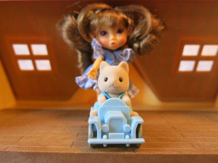 Малыши из школы Peakswoods (фото 5)