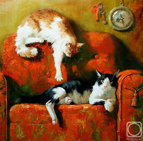 «Мяу» особого назначения или Весенняя кошкотерапия