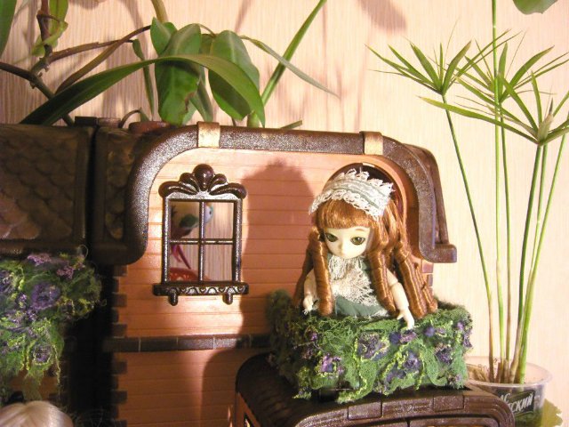 В моем новом домике новоселы (фото 9)