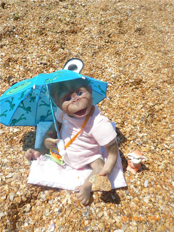 Анфисочка! Кукла - реборн - обезьянка Светланы Преображенской. Часть первая