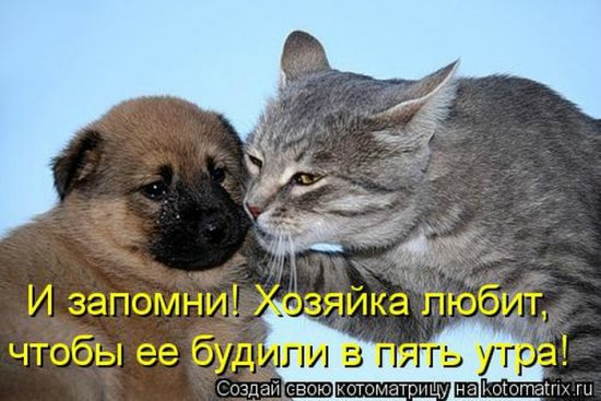 Море позитива) Для поднятия настроения (осторожно! много фото)))) | Бэйбики Море позитива) Для поднятия настроения (осторожно! много фото))))