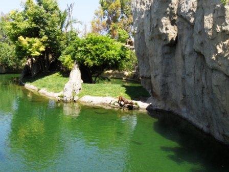 Испанские рассказы. Часть 2. Для чего козе баян? (Биопарк в Валенсии)