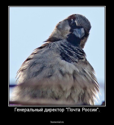 Почта России Сброс баласта