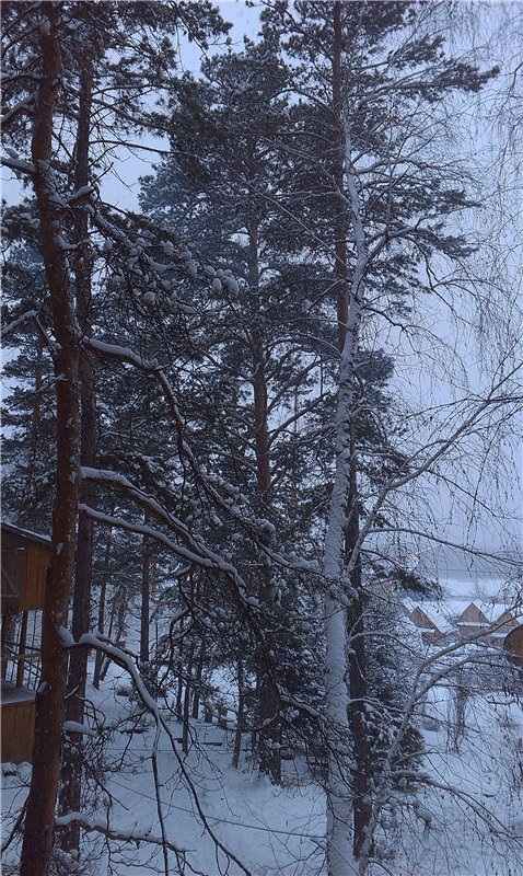 В гостях у сказки... Путешествие на Алтай (фото 9)