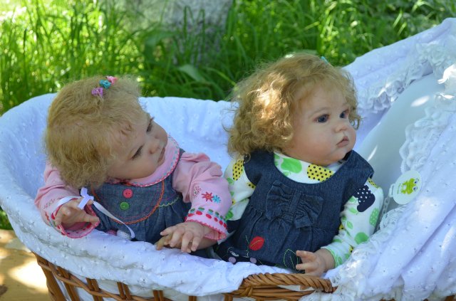 Почти близнецы. Шарламае 2