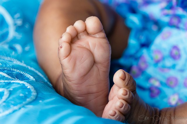 Молдик Эсме Laura Lee Eagles Прототип номер 3