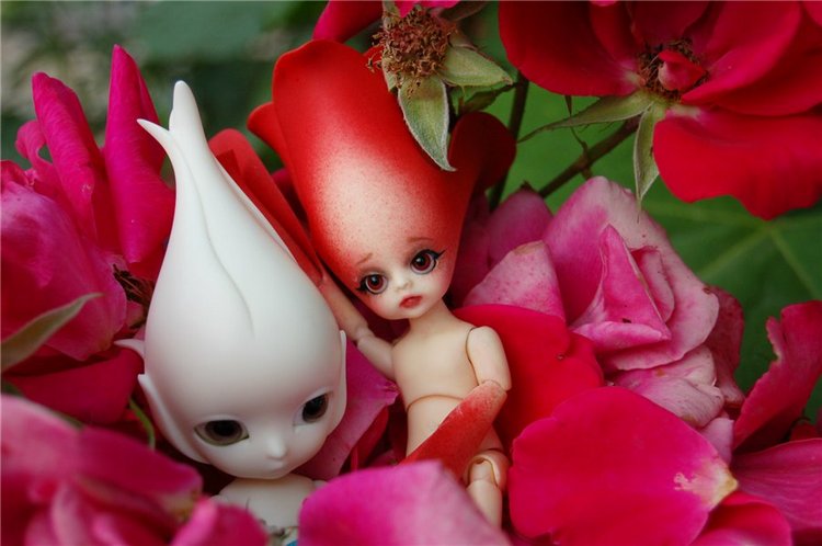 Прогулка по саду Doll zone