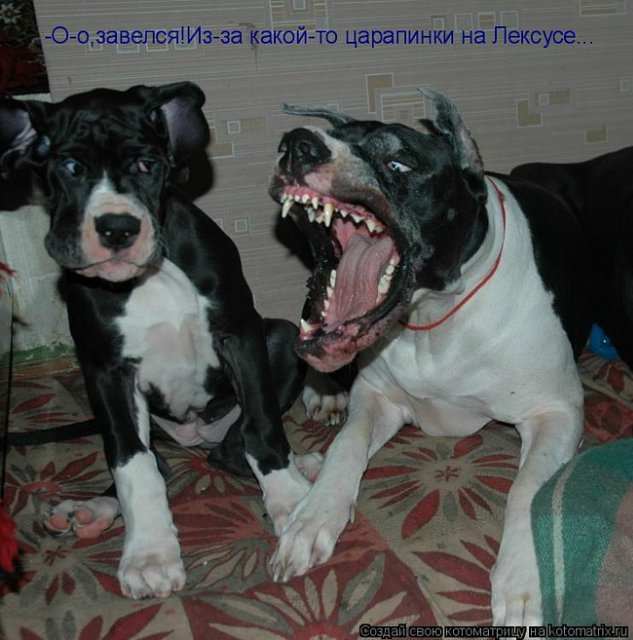 Понедельник - день тяжёлый | Бэйбики Понедельник - день тяжёлый